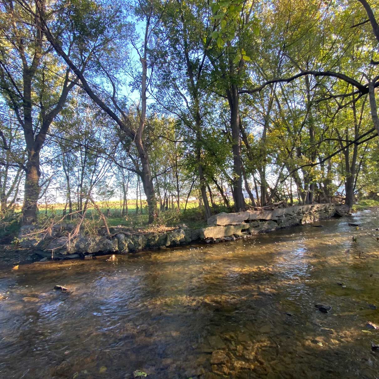 hempstone-5.jpg